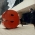 Profilbild von %s